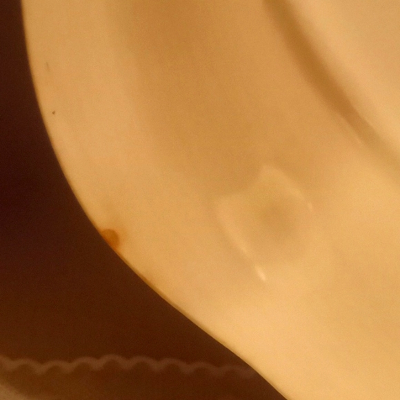 Vintage Universal Cambridge Iris Camwood Ivory- Cake Plate - Picture 9 of 12